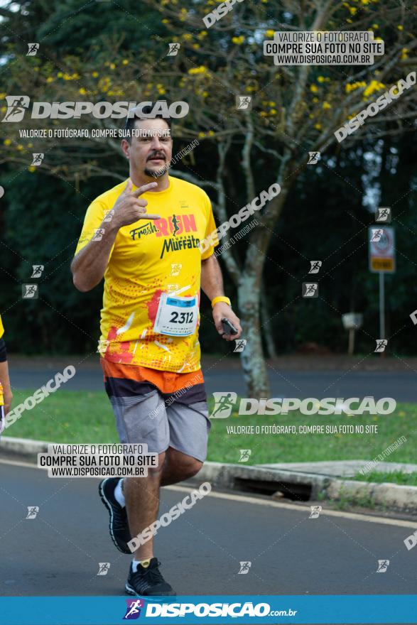 Muffato Fresh Run 2022 - Londrina