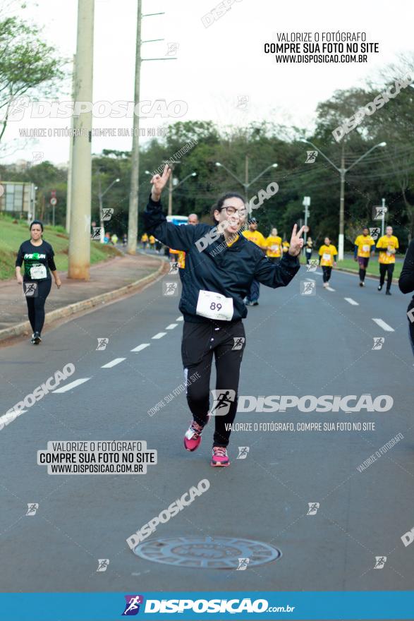 Muffato Fresh Run 2022 - Londrina