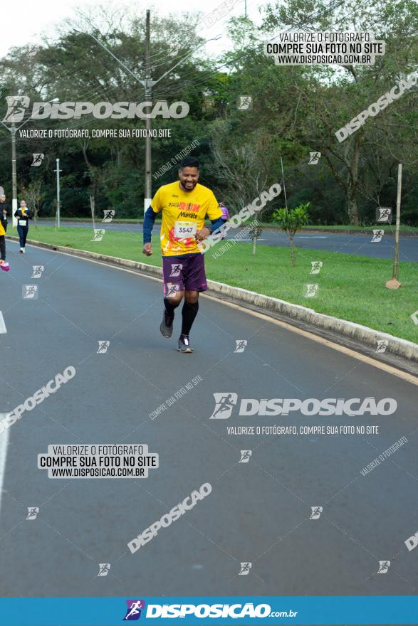 Muffato Fresh Run 2022 - Londrina