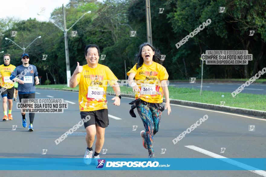 Muffato Fresh Run 2022 - Londrina