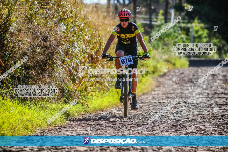 Desafio Norte PR MTB - Etapa Sarandi