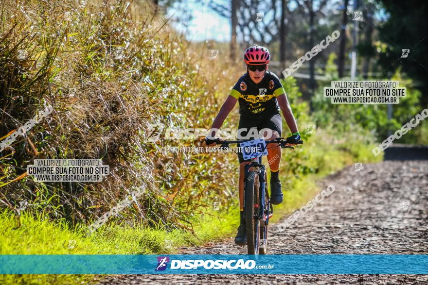 Desafio Norte PR MTB - Etapa Sarandi