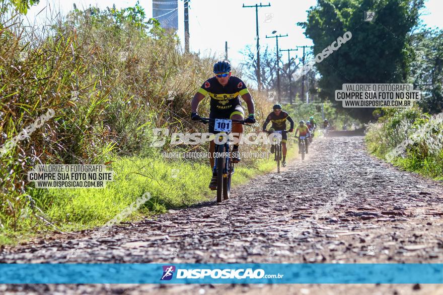 Desafio Norte PR MTB - Etapa Sarandi