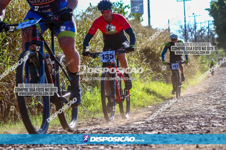 Desafio Norte PR MTB - Etapa Sarandi