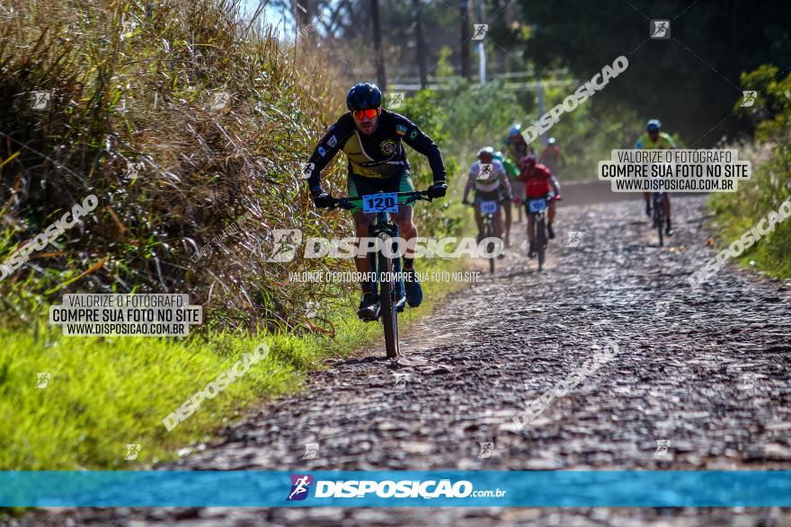 Desafio Norte PR MTB - Etapa Sarandi