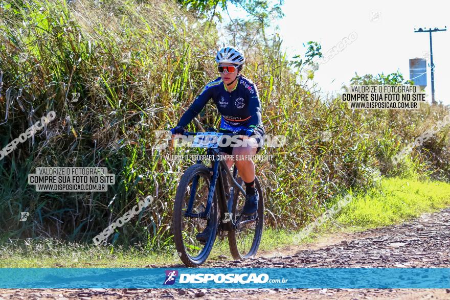 Desafio Norte PR MTB - Etapa Sarandi