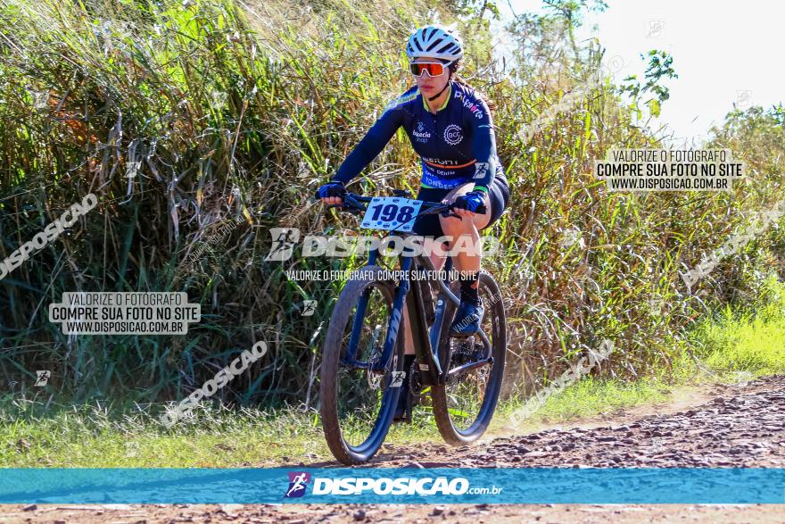 Desafio Norte PR MTB - Etapa Sarandi