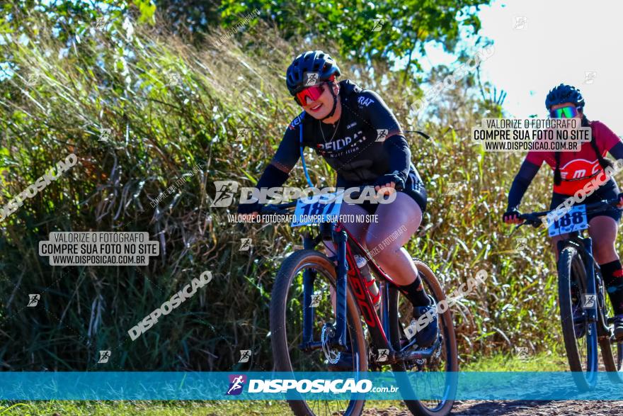 Desafio Norte PR MTB - Etapa Sarandi