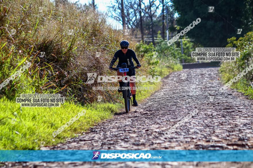 Desafio Norte PR MTB - Etapa Sarandi