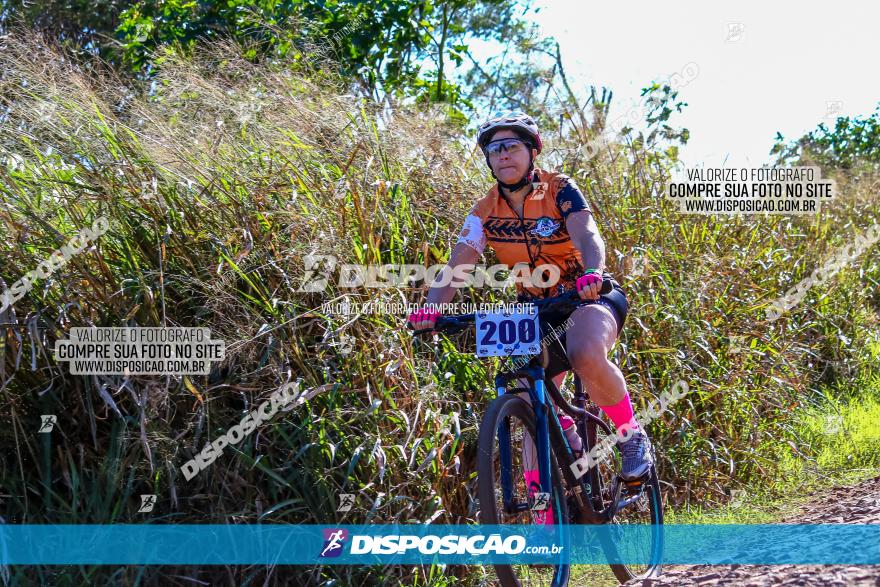 Desafio Norte PR MTB - Etapa Sarandi