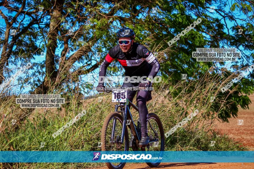 Desafio Norte PR MTB - Etapa Sarandi