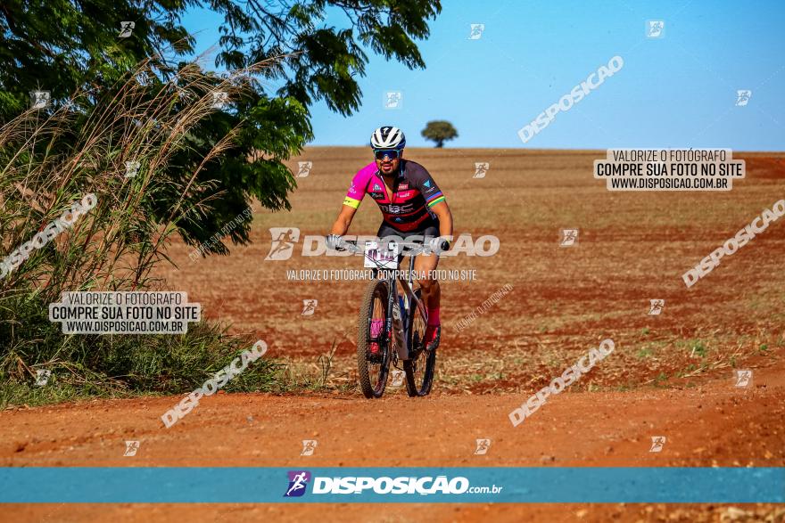 Desafio Norte PR MTB - Etapa Sarandi