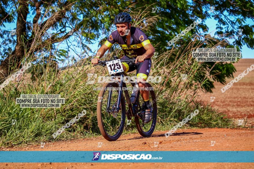 Desafio Norte PR MTB - Etapa Sarandi