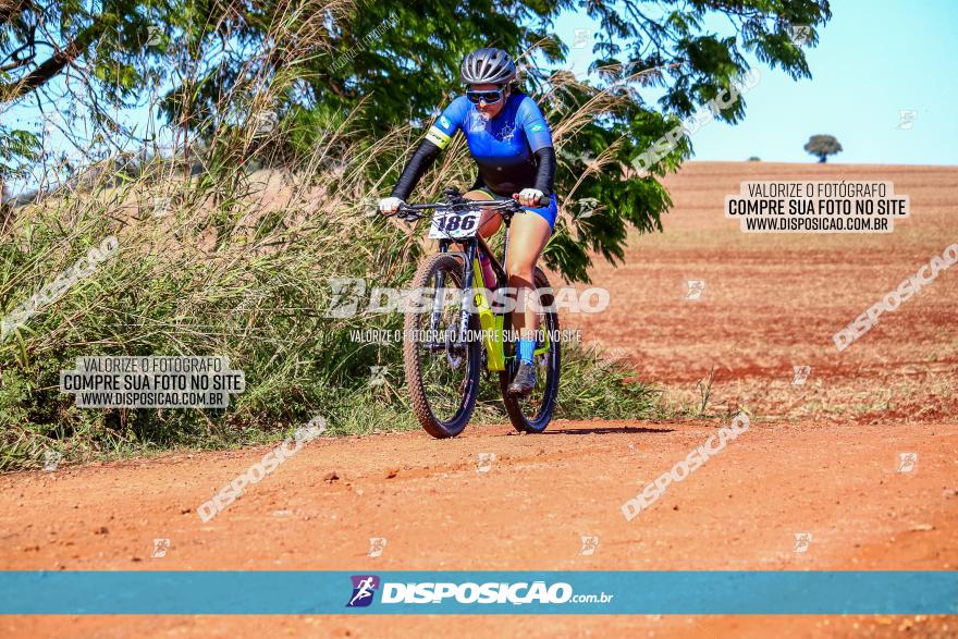 Desafio Norte PR MTB - Etapa Sarandi