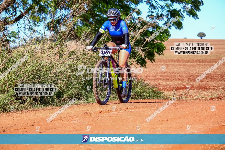 Desafio Norte PR MTB - Etapa Sarandi