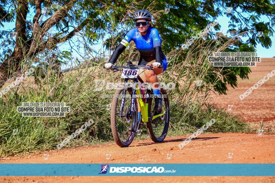 Desafio Norte PR MTB - Etapa Sarandi