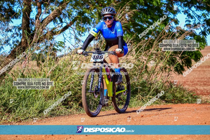 Desafio Norte PR MTB - Etapa Sarandi