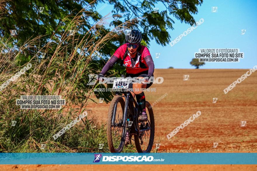 Desafio Norte PR MTB - Etapa Sarandi