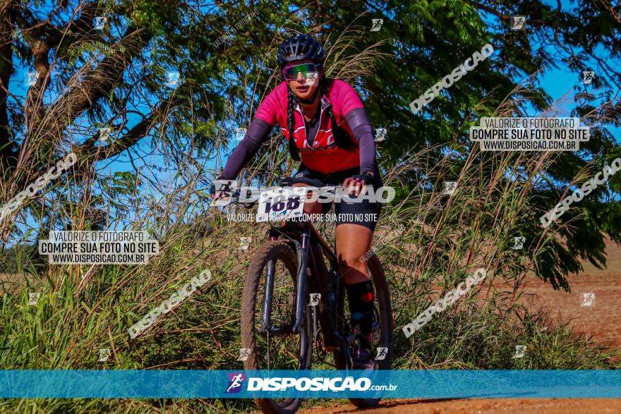 Desafio Norte PR MTB - Etapa Sarandi