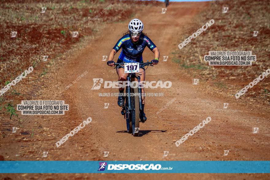 Desafio Norte PR MTB - Etapa Sarandi