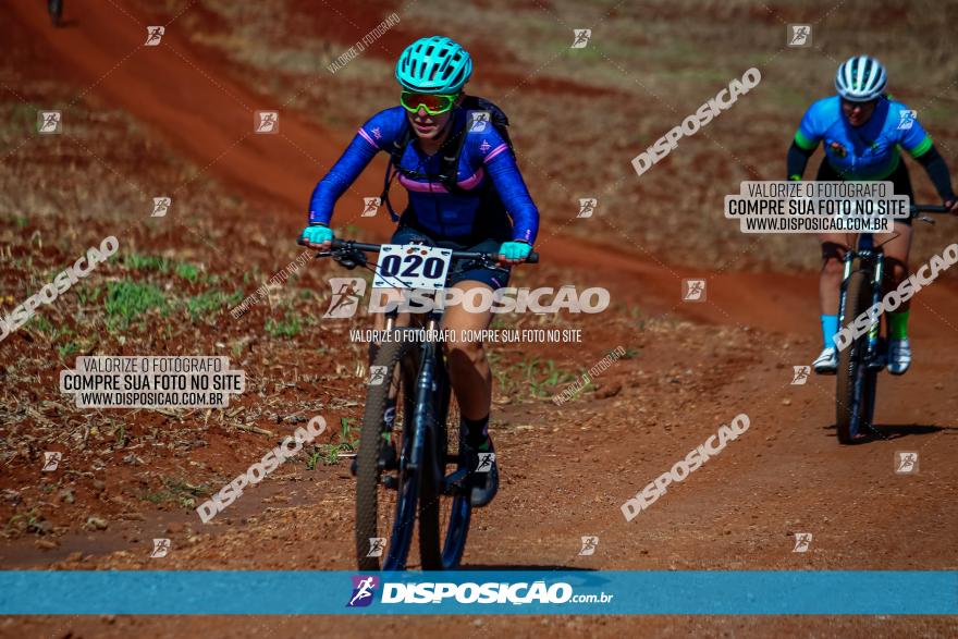 Desafio Norte PR MTB - Etapa Sarandi