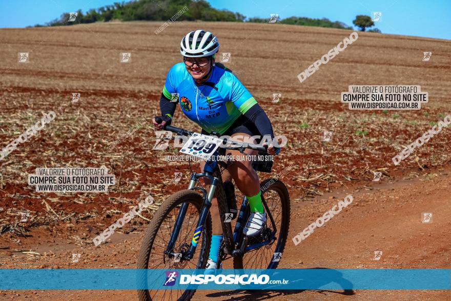 Desafio Norte PR MTB - Etapa Sarandi