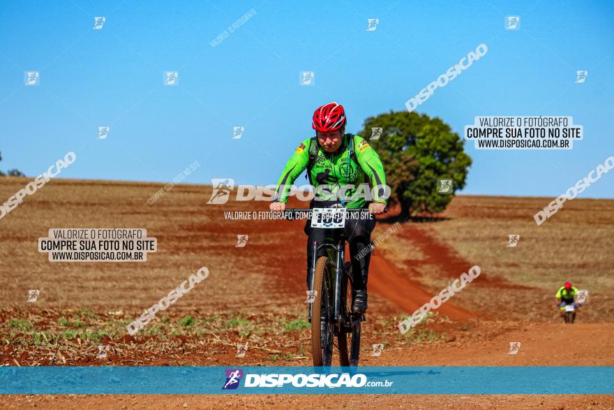 Desafio Norte PR MTB - Etapa Sarandi