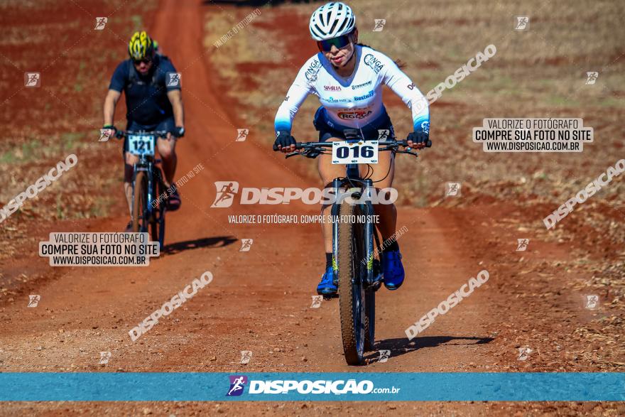 Desafio Norte PR MTB - Etapa Sarandi