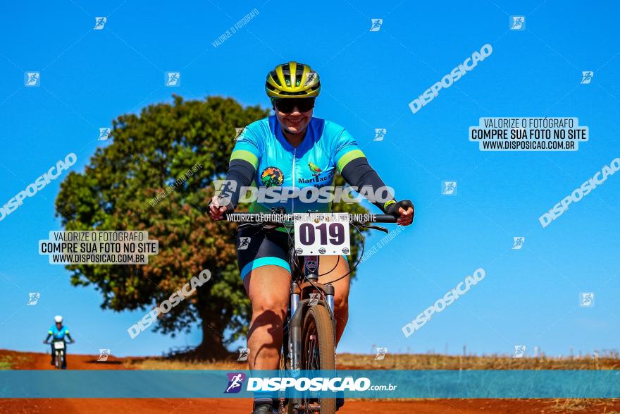 Desafio Norte PR MTB - Etapa Sarandi