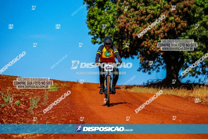 Desafio Norte PR MTB - Etapa Sarandi