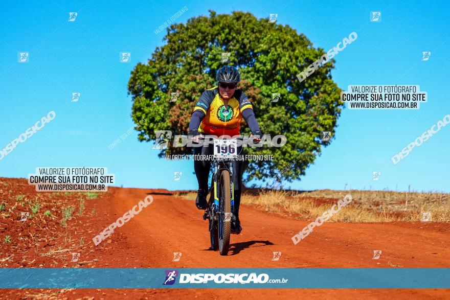 Desafio Norte PR MTB - Etapa Sarandi