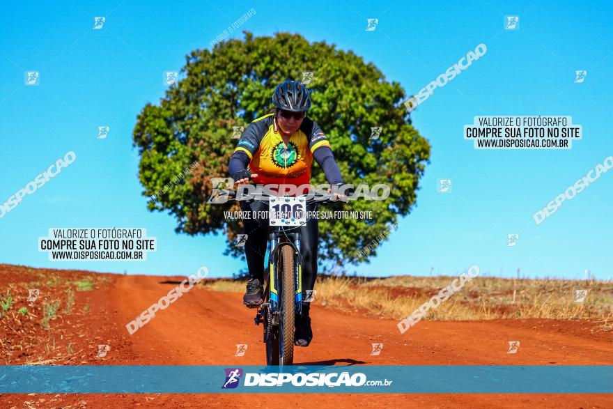 Desafio Norte PR MTB - Etapa Sarandi