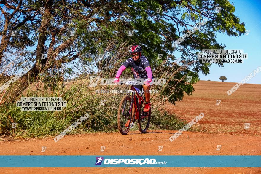 Desafio Norte PR MTB - Etapa Sarandi