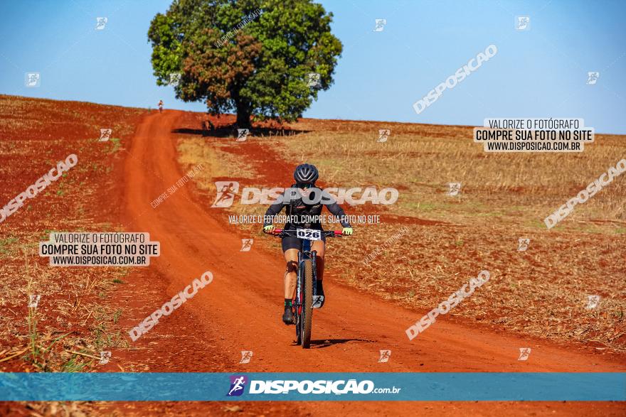 Desafio Norte PR MTB - Etapa Sarandi