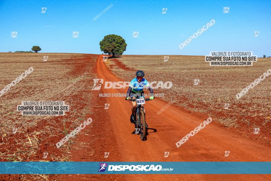 Desafio Norte PR MTB - Etapa Sarandi