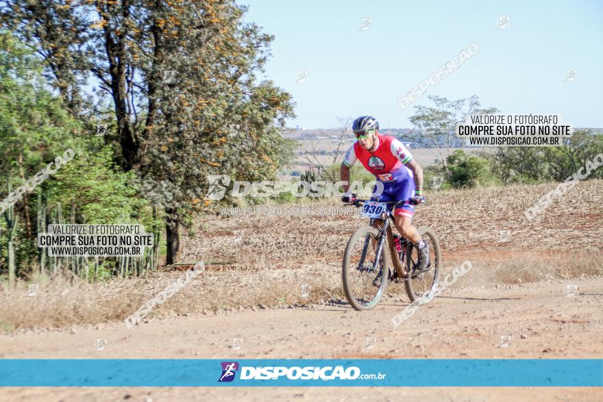 Desafio Norte PR MTB - Etapa Sarandi