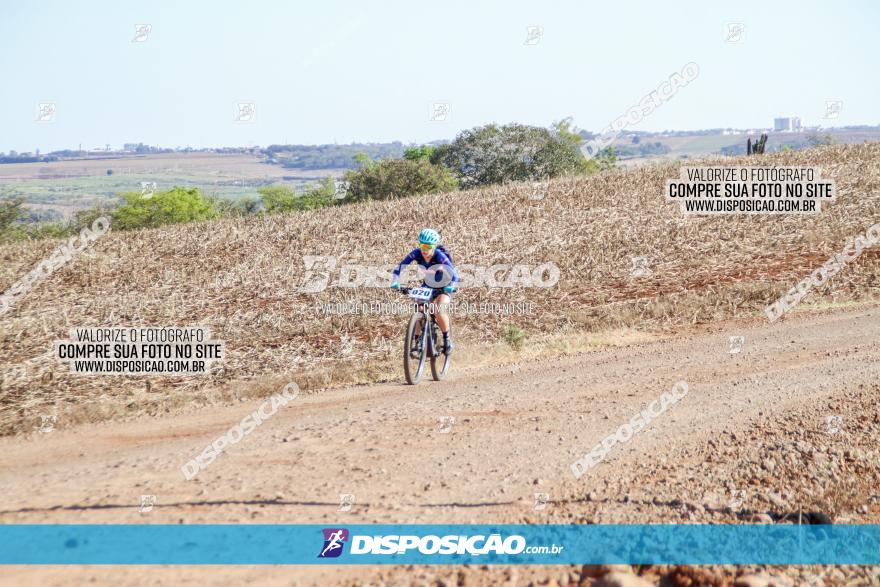 Desafio Norte PR MTB - Etapa Sarandi