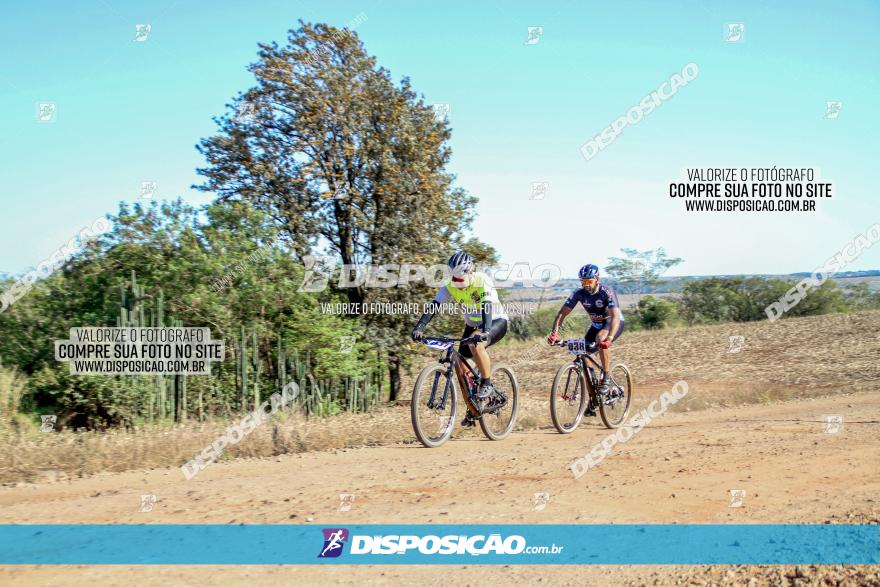 Desafio Norte PR MTB - Etapa Sarandi