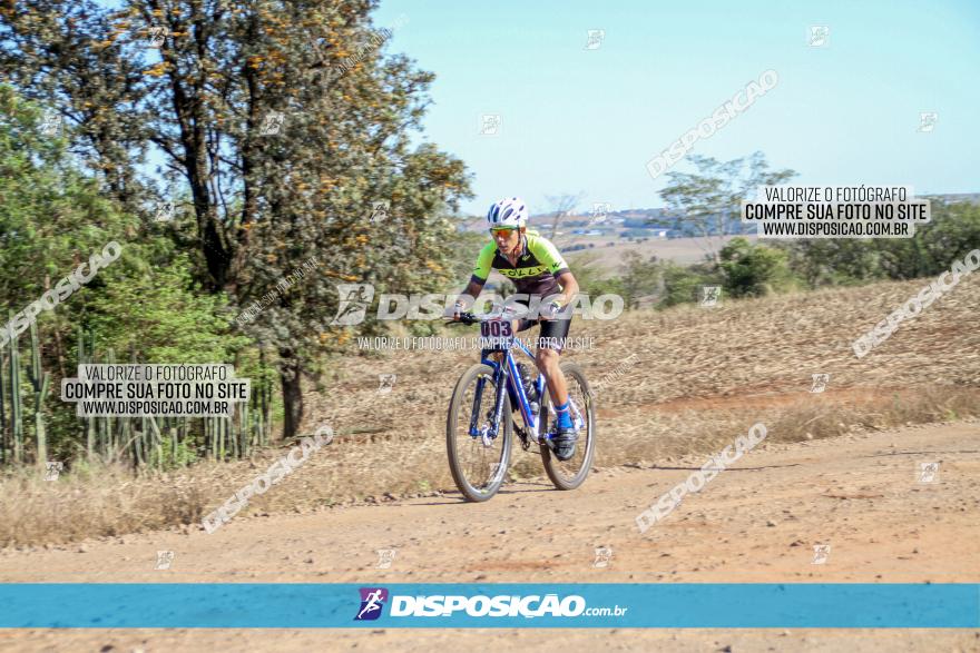 Desafio Norte PR MTB - Etapa Sarandi