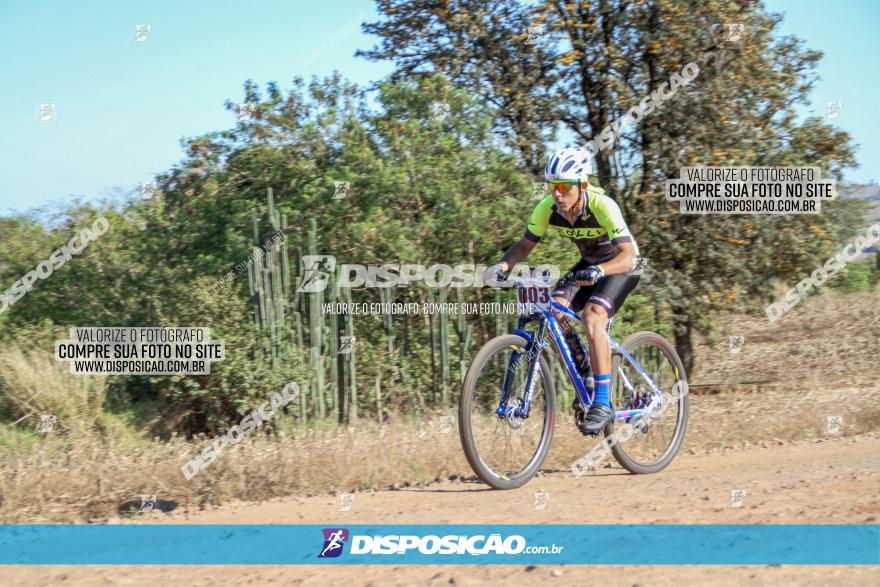 Desafio Norte PR MTB - Etapa Sarandi