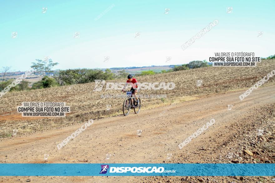 Desafio Norte PR MTB - Etapa Sarandi