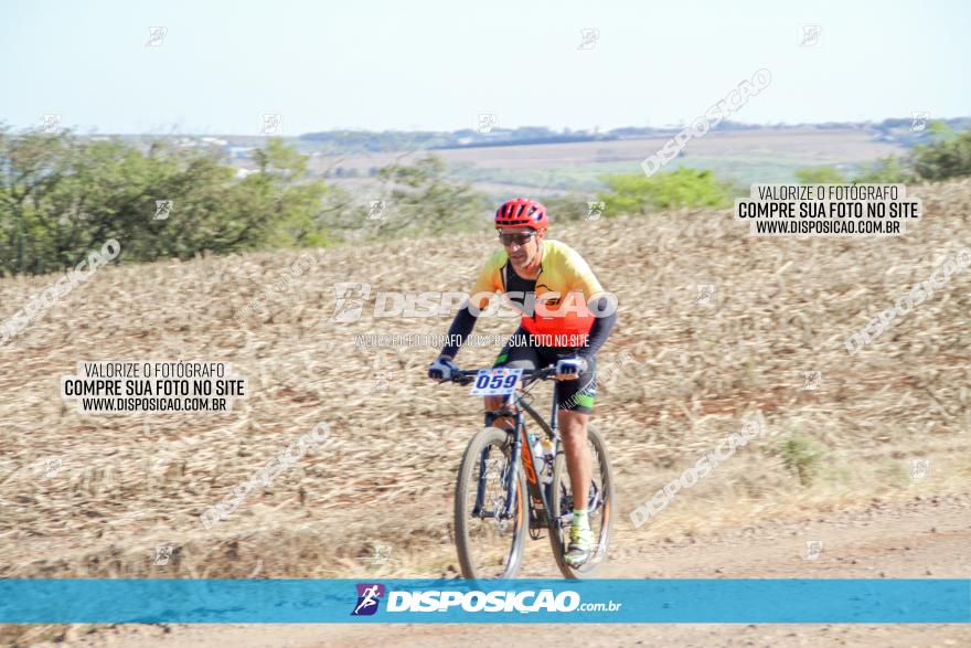 Desafio Norte PR MTB - Etapa Sarandi