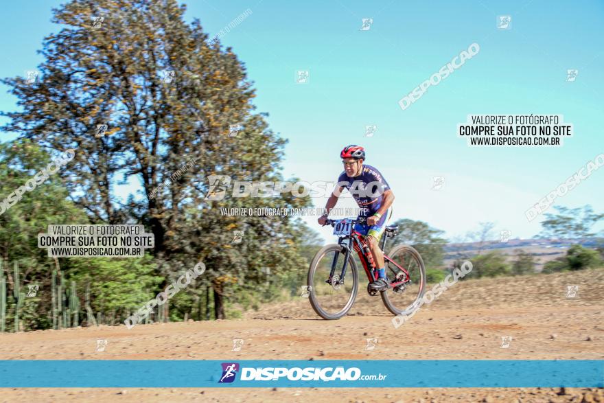 Desafio Norte PR MTB - Etapa Sarandi