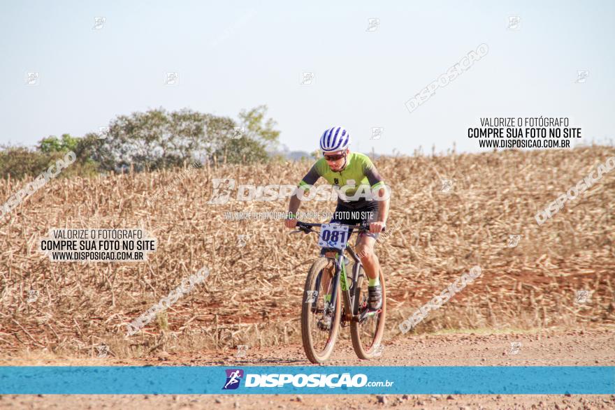 Desafio Norte PR MTB - Etapa Sarandi