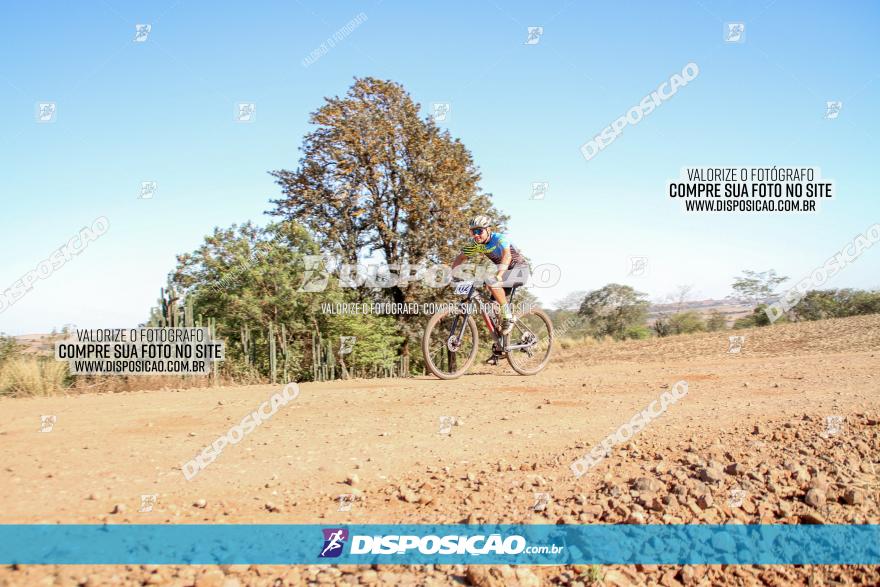 Desafio Norte PR MTB - Etapa Sarandi