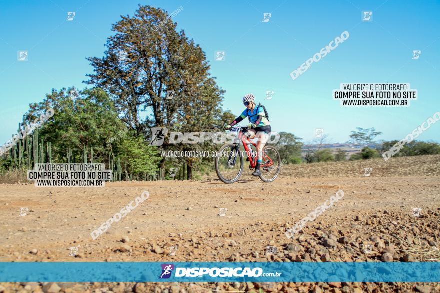 Desafio Norte PR MTB - Etapa Sarandi