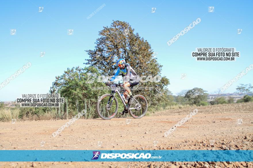 Desafio Norte PR MTB - Etapa Sarandi