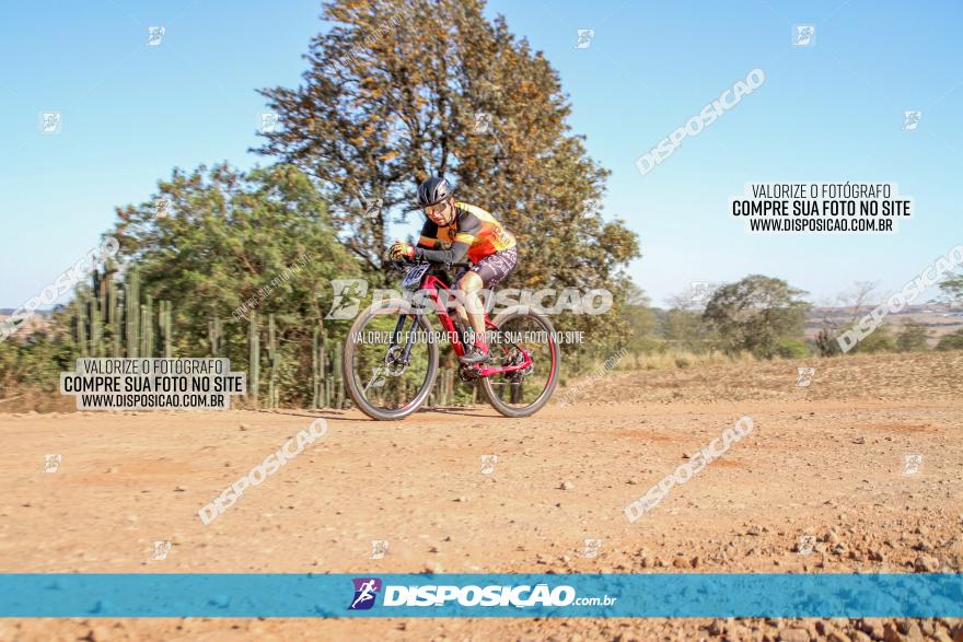 Desafio Norte PR MTB - Etapa Sarandi