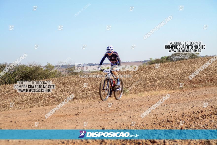 Desafio Norte PR MTB - Etapa Sarandi