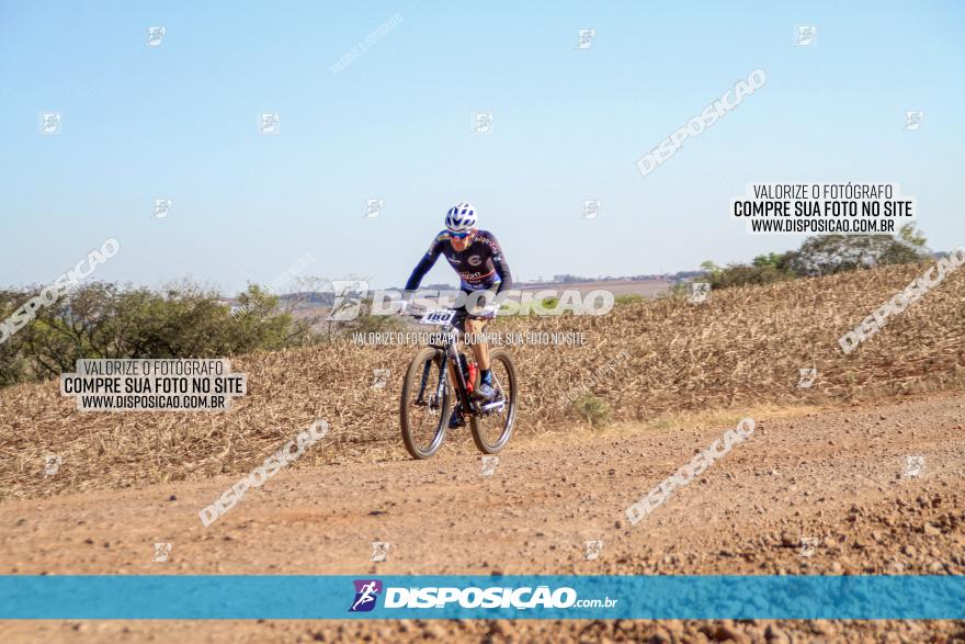 Desafio Norte PR MTB - Etapa Sarandi